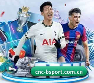 B体育 APP 界面
